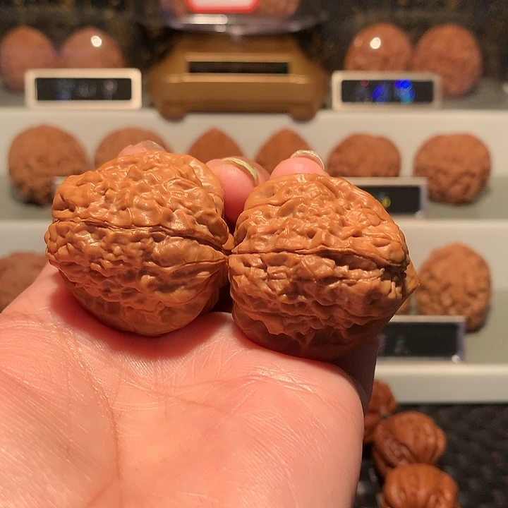 文玩核桃把件魔蟾