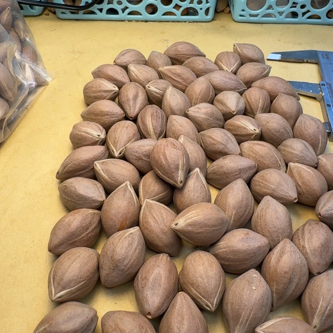 独***夏手串/手链橄榄核1