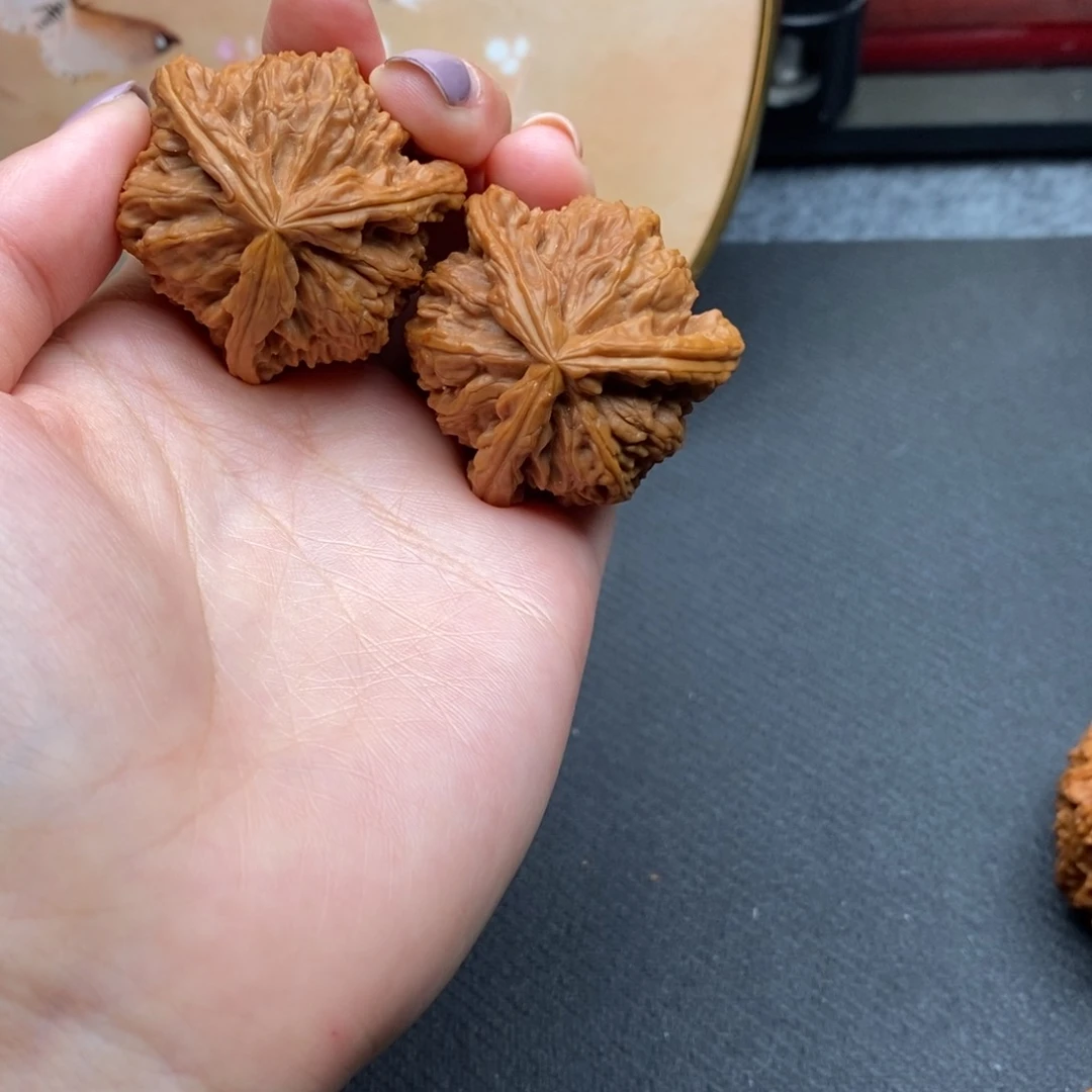 风****0白狮子1111111111