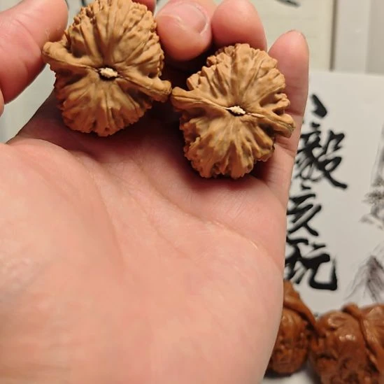 手串/手链核桃福利白狮子送11111