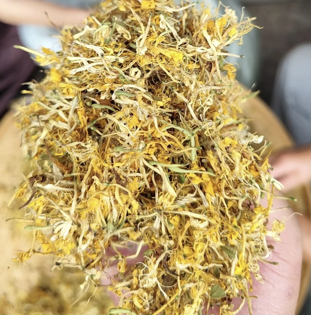 云南深山采摘野生金银花养生煮水泡茶