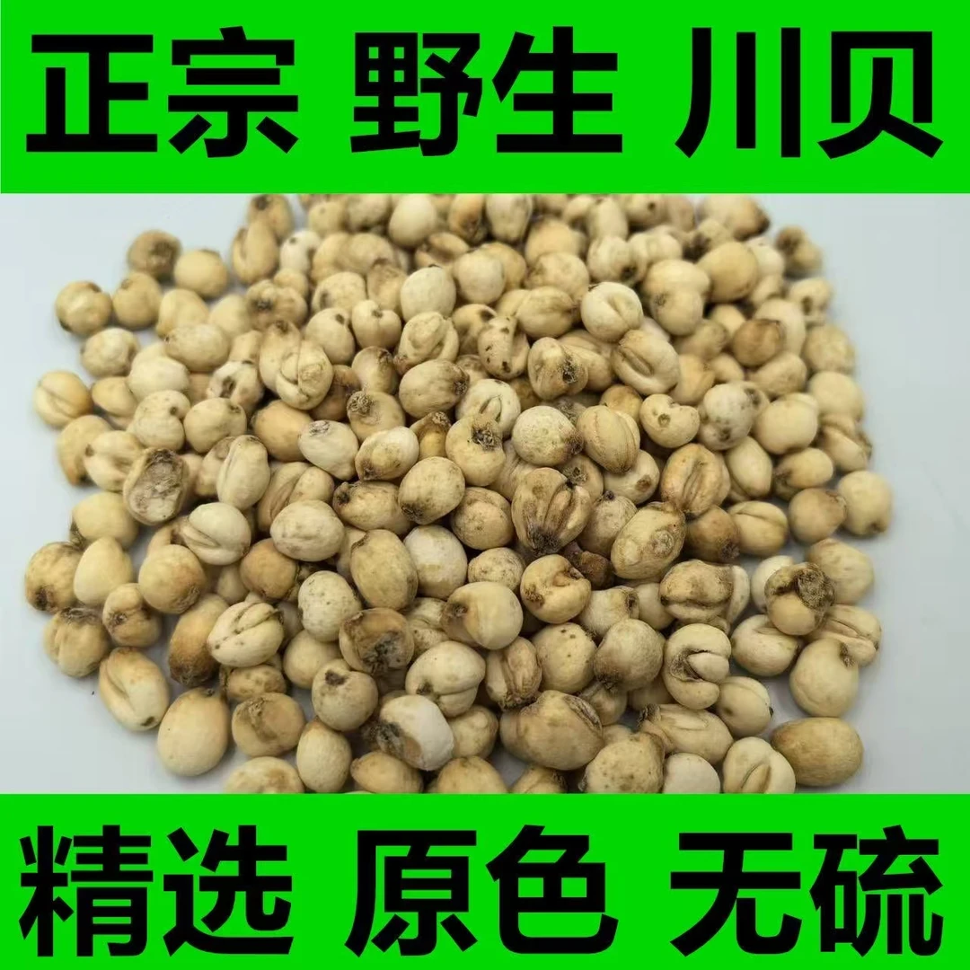 高山贝母川贝母新货无硫原色