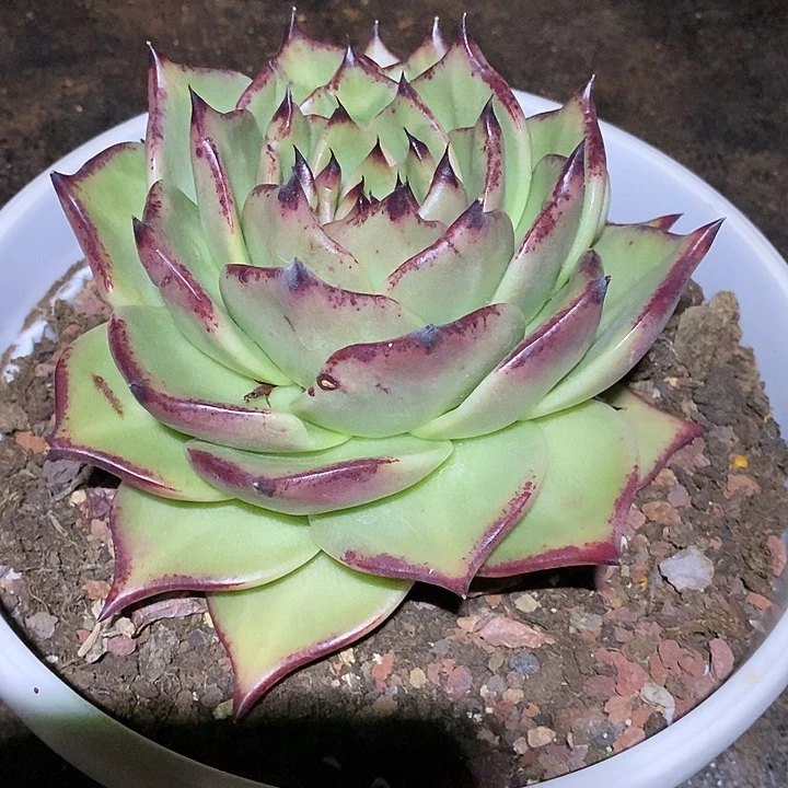 不***调福利大漏16