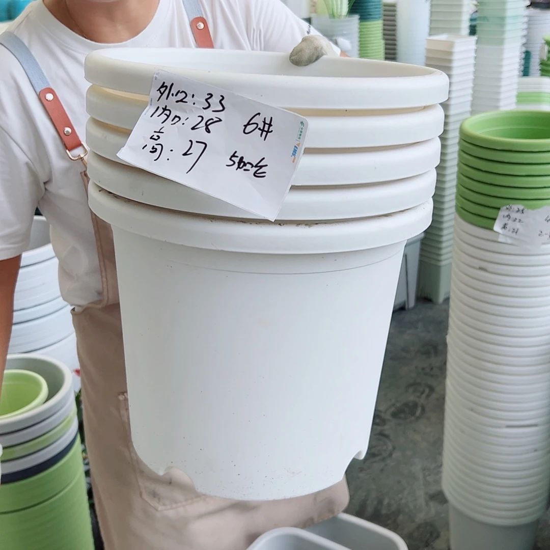 四季盆6#白色5个无托