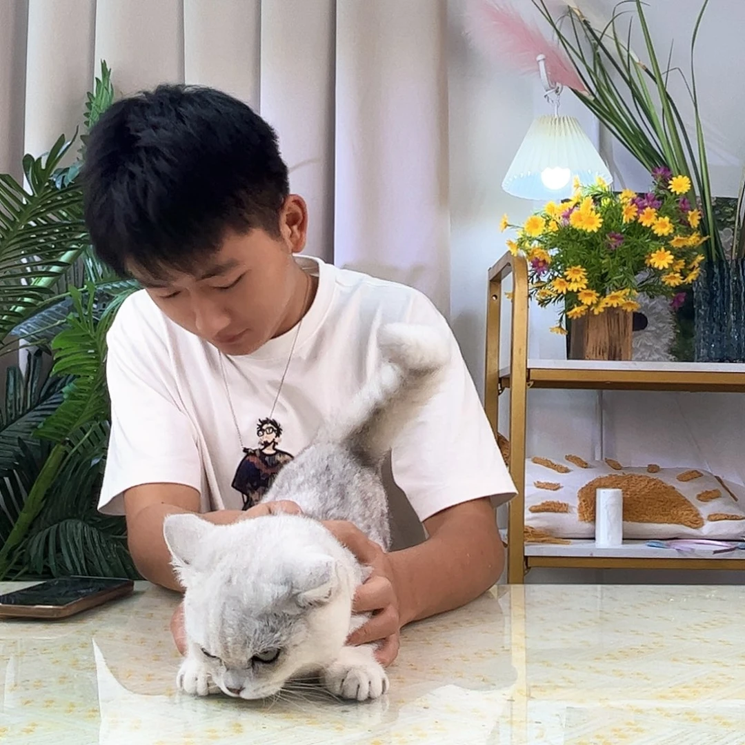 银渐层银渐层宝宝