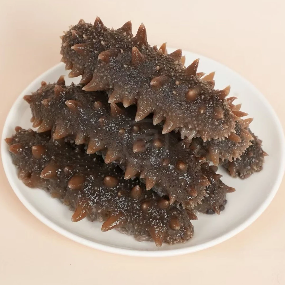【5-7头】鲜食国标海参深海辽参Q弹营养口感大个北纬39度独立包装