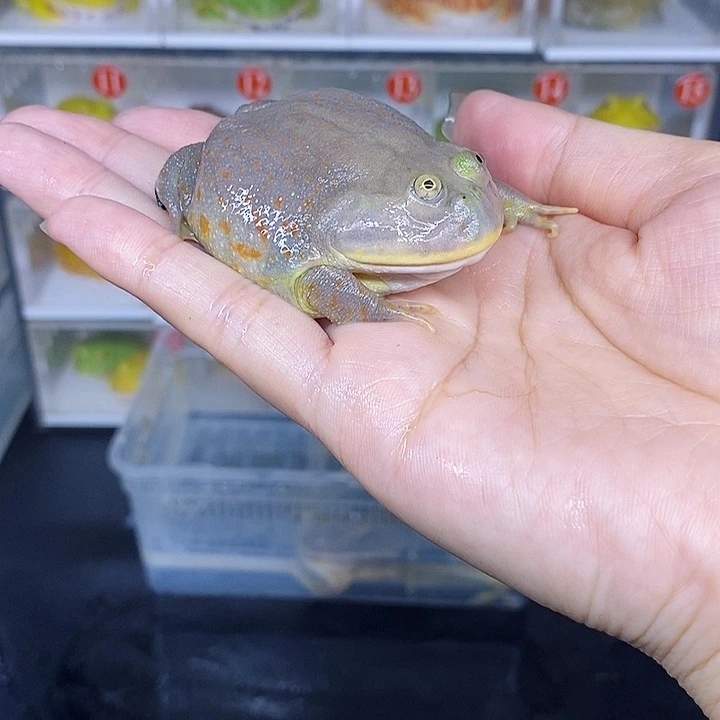 特价秒杀特价原价