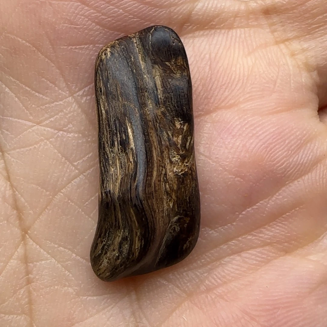 沉香碎屑沉香达拉干沉水0.85克