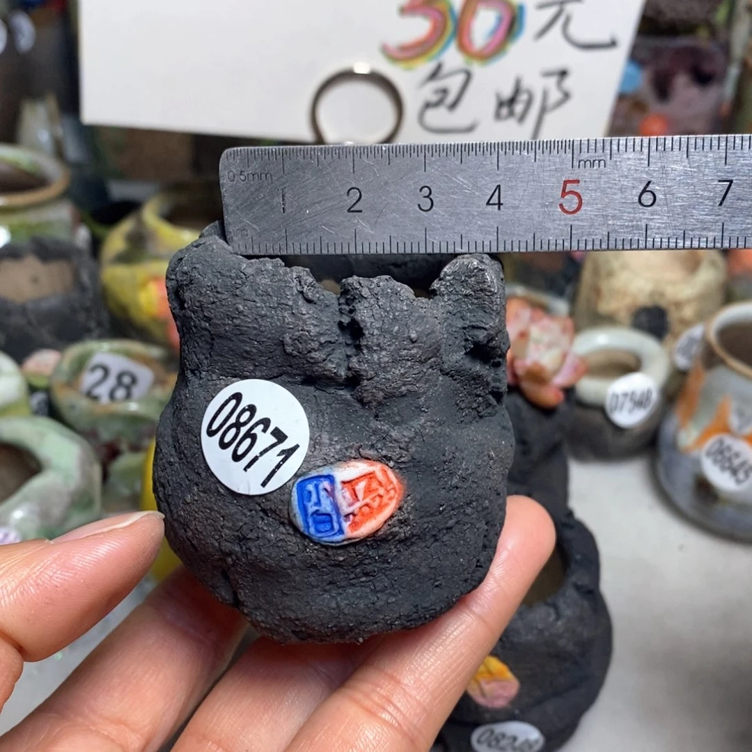 花盆拍3送一个小礼物