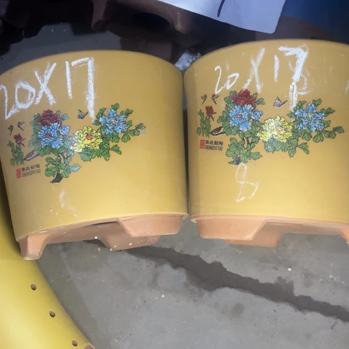 周深周深周深周深