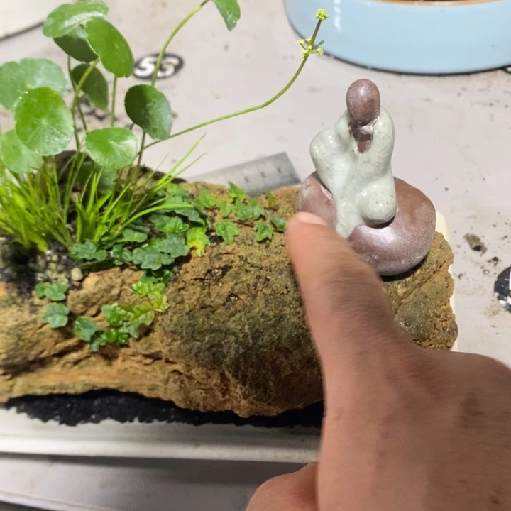 新***昕无花朵退款拉黑拉137