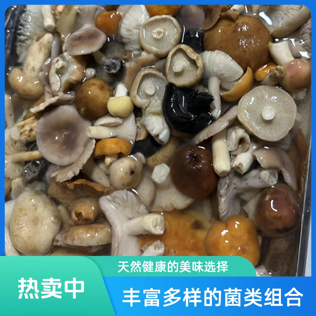 四川新鲜野生青头菌大脚菇炒菜美味野生菌大中小混装真空包装发货