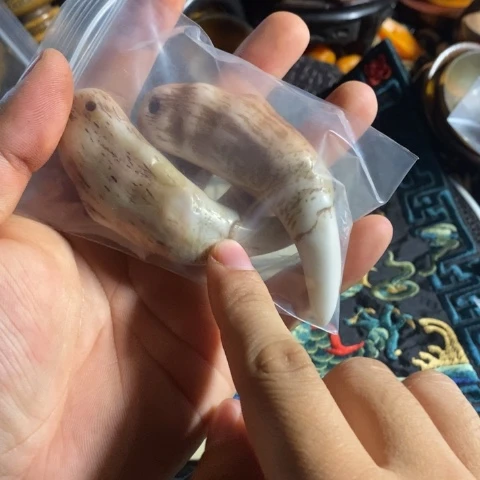 瓷片广**积寻呼台的小伙伴都是一