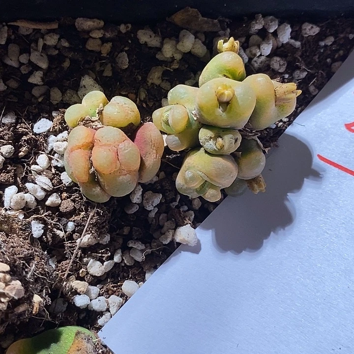 26344。   一组。 一组。