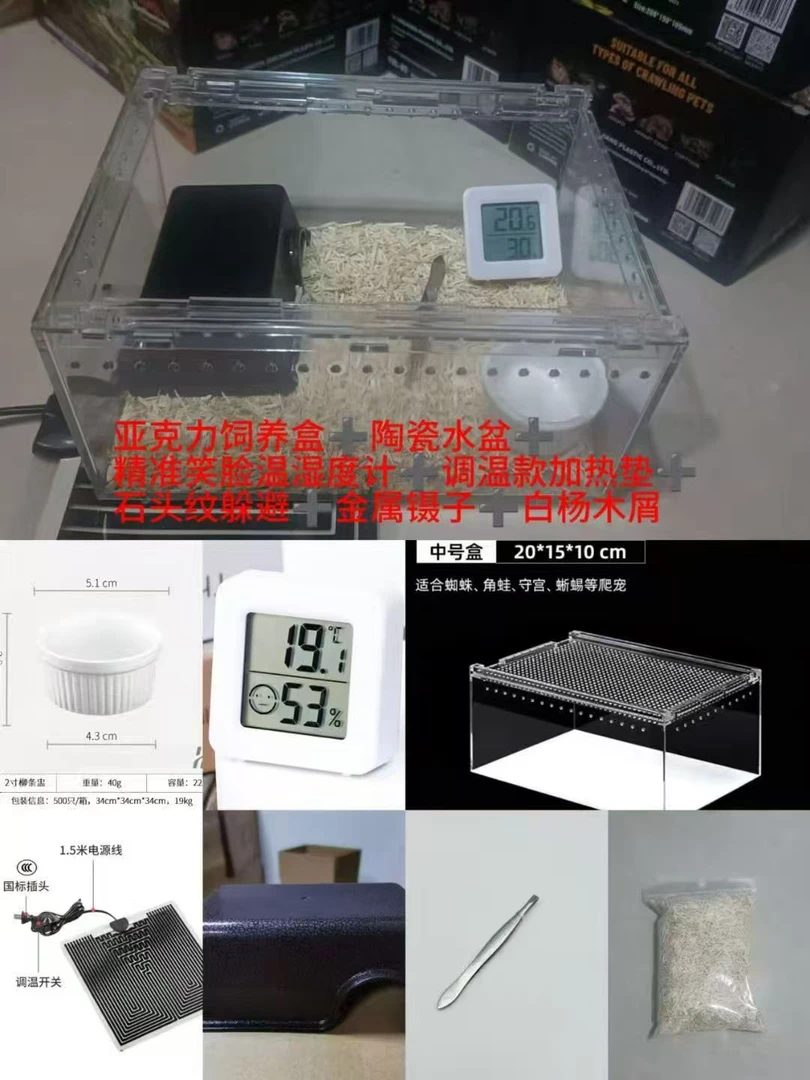 爬宠亚克力饲养盒适用于守宫蜥蜴角蛙蛇蜘蛛等爬虫生态缸