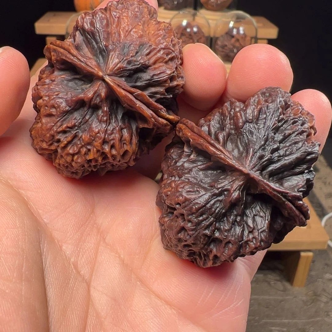 文玩核桃把件?****?苍山神鹰46mm