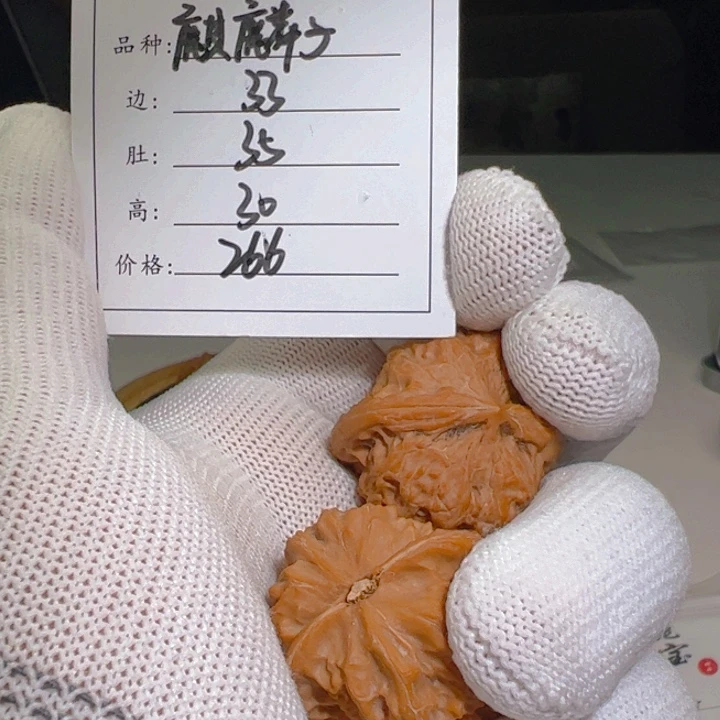 文玩核桃吊坠S****韩麒麟子186