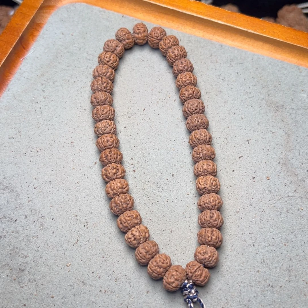 菩提24号金刚菩提老树王11