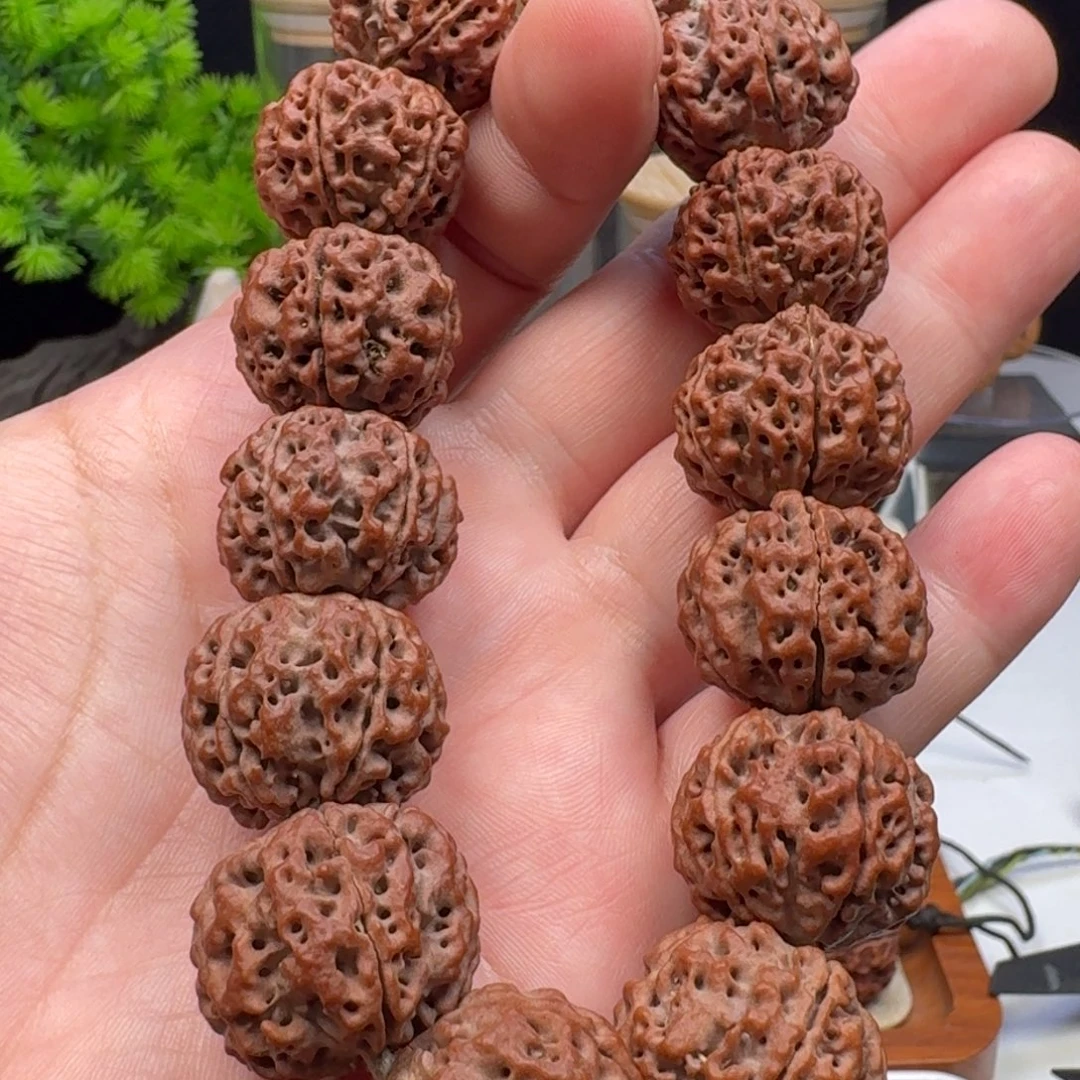 金刚菩提手串老籽雪山铁子蜂窝双龙
