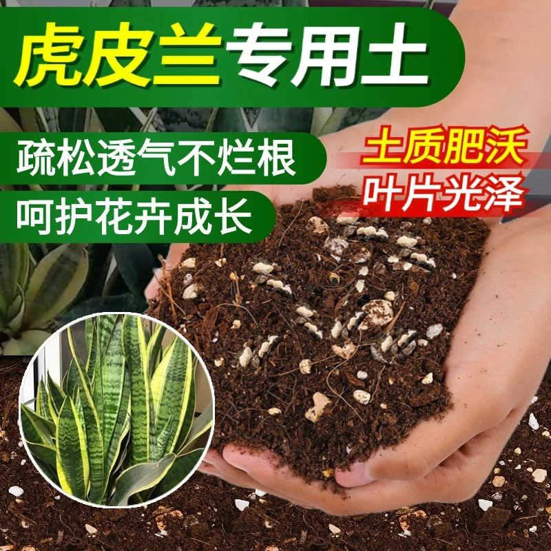 虎皮兰专用营养土养花种菜泥炭土育苗有机土壤种植土家用盆栽植物
