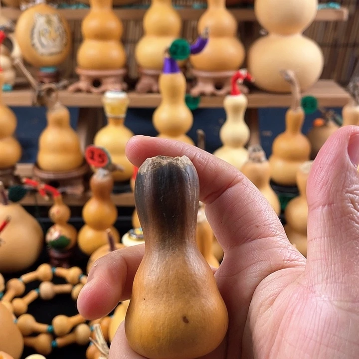 小*葫八宝八宝八宝八宝八宝