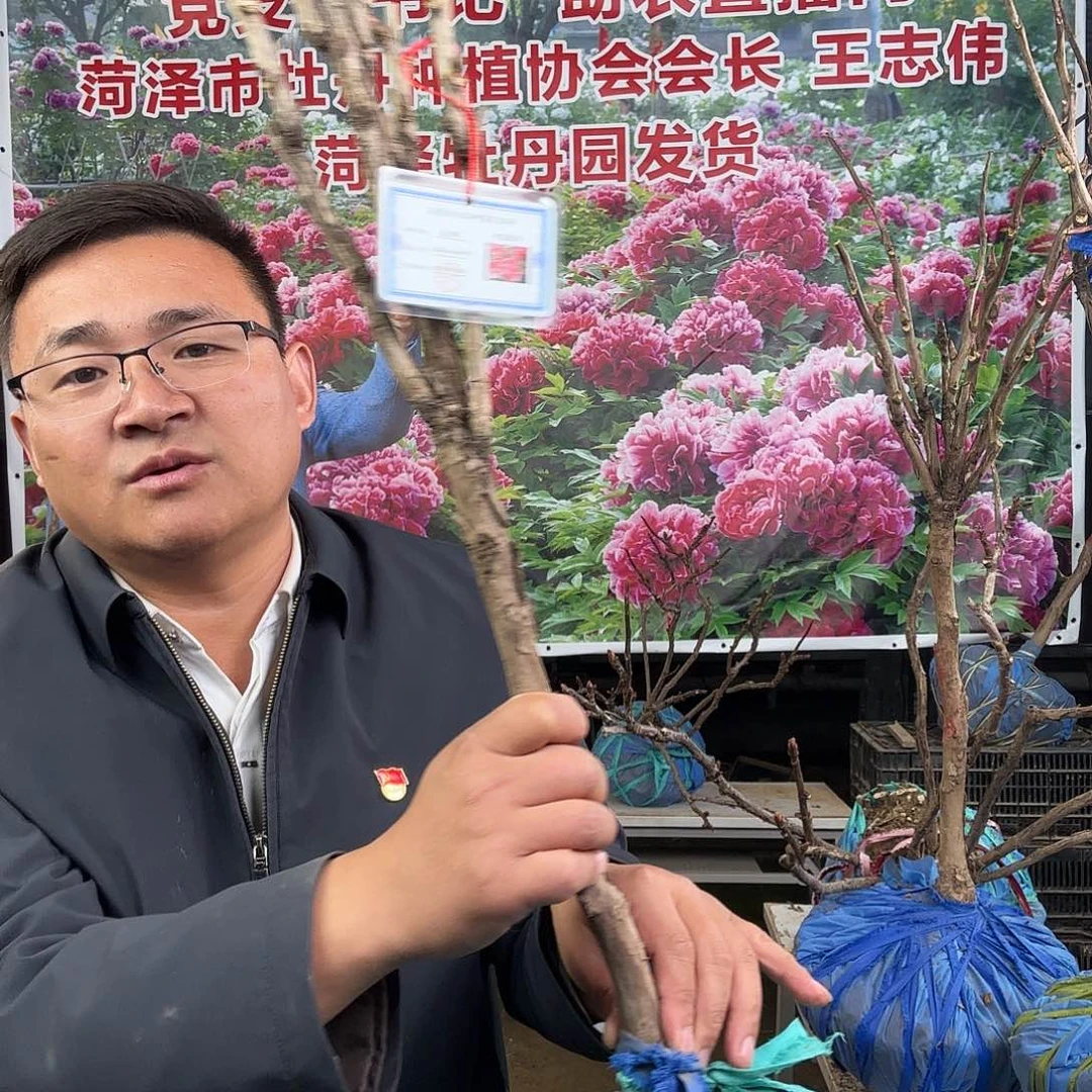 羽***厂完全开放花王266元