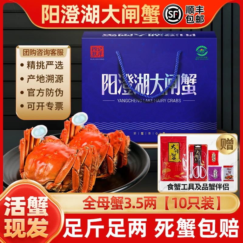 【活蟹】四记联洋阳澄湖大闸蟹全母蟹3.5两10只金标螃蟹塘养