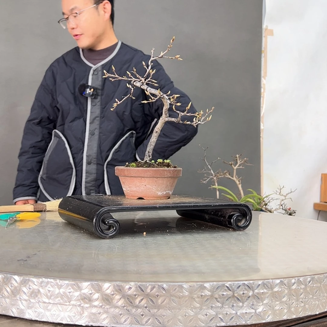 红陶松*?5顺丰到付。