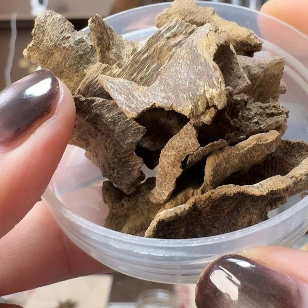 沉香沉香碎屑11号海南鸡母虫原材料5克