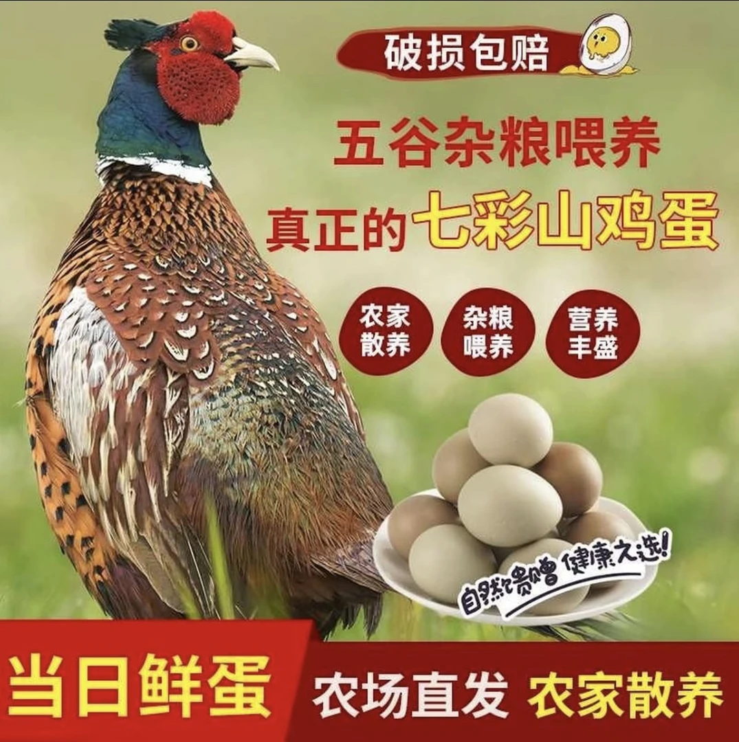 农户自养土鸡蛋当天现捡鲜蛋散养七彩山鸡蛋营养丰富宝宝辅食