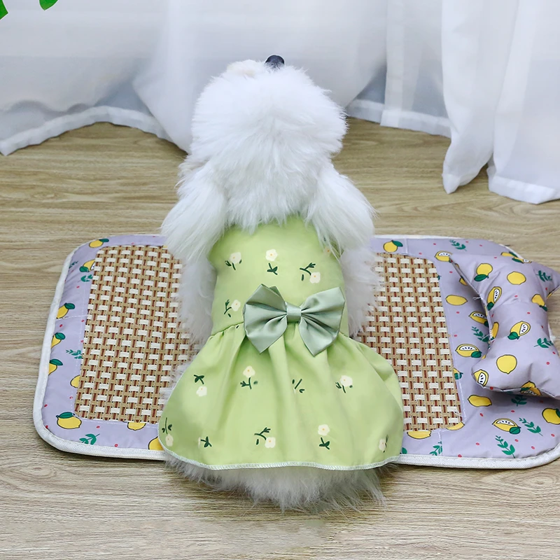 狗狗衣服春夏新款公主风裙子中小型犬猫博美防掉毛薄款可爱宠物裙