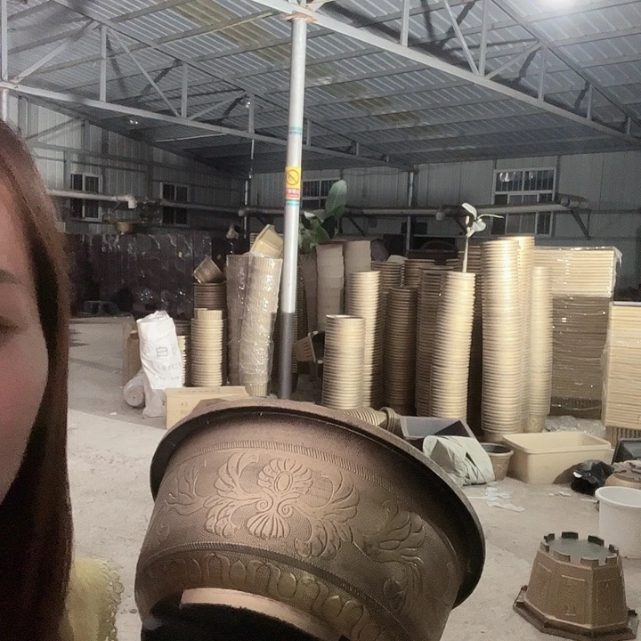 烈*盆景888654899855555