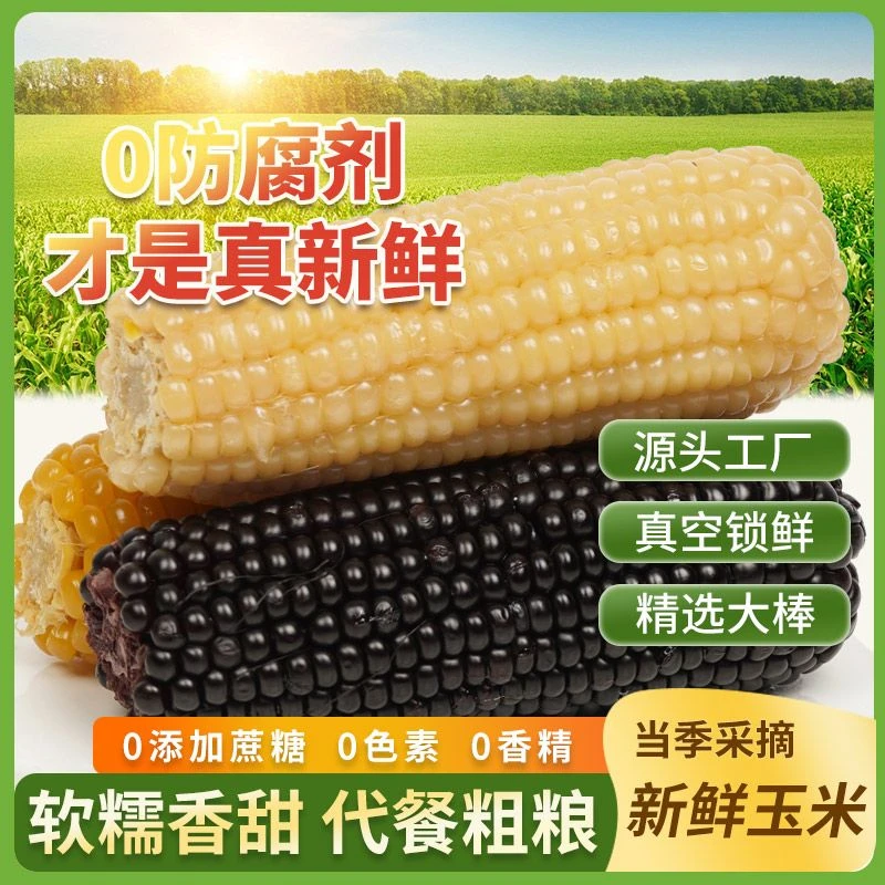 【5根黑糯+5根黄糯玉米大棒】甜糯粘紫玉米零食包谷健身粗粮代餐