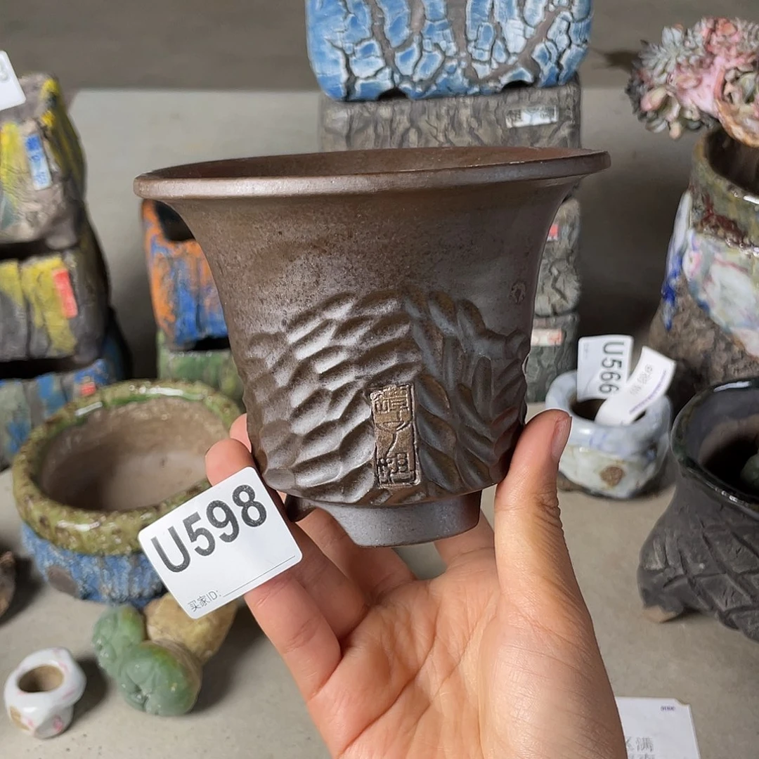 双十一限时福利 默认微次