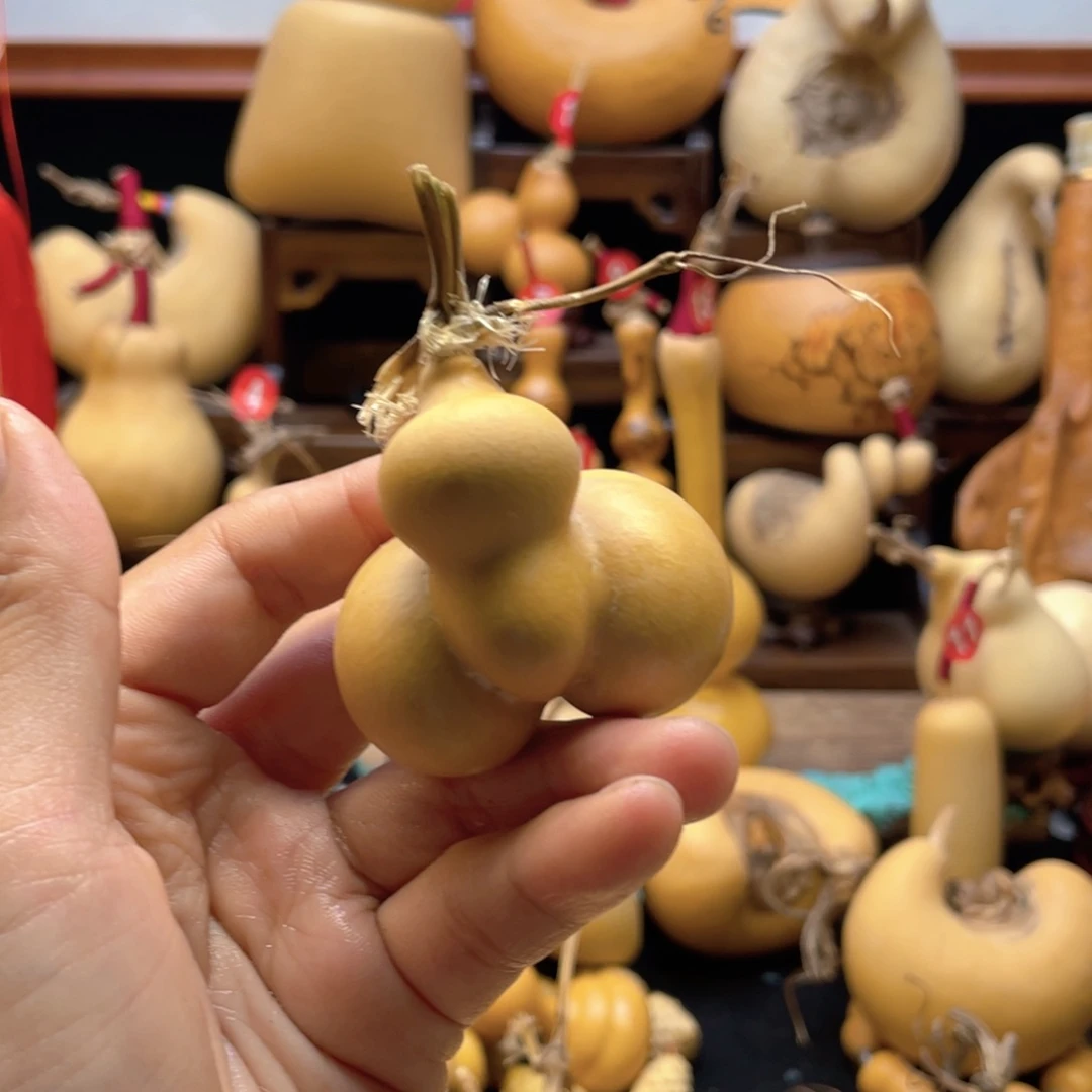 小*大自然的秘密第十一节的