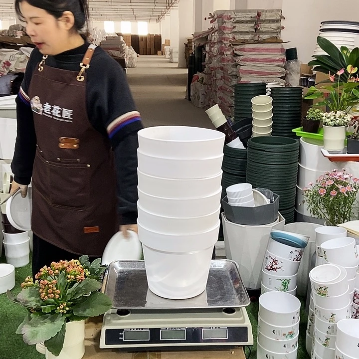 仿陶口19高17白色无托6个