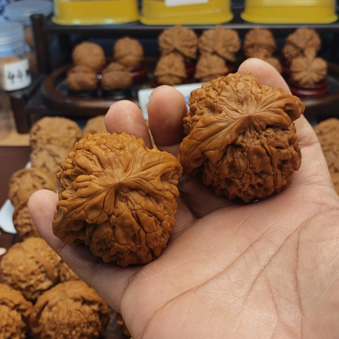 文玩核桃把件?53尺 全品龙鼎 15