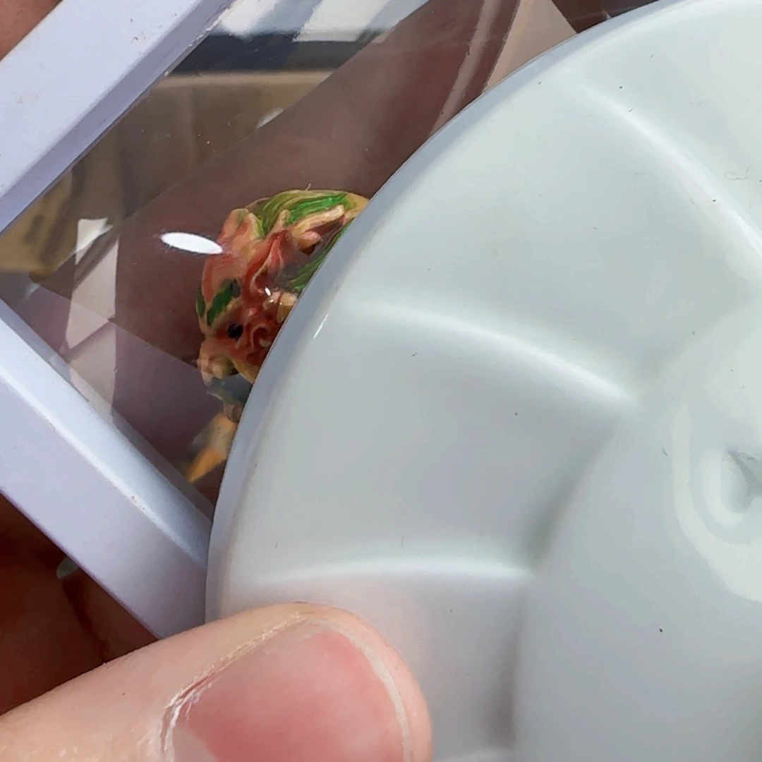 紫砂茶宠哈哈哈哈哈哈哈哈哈哈哈