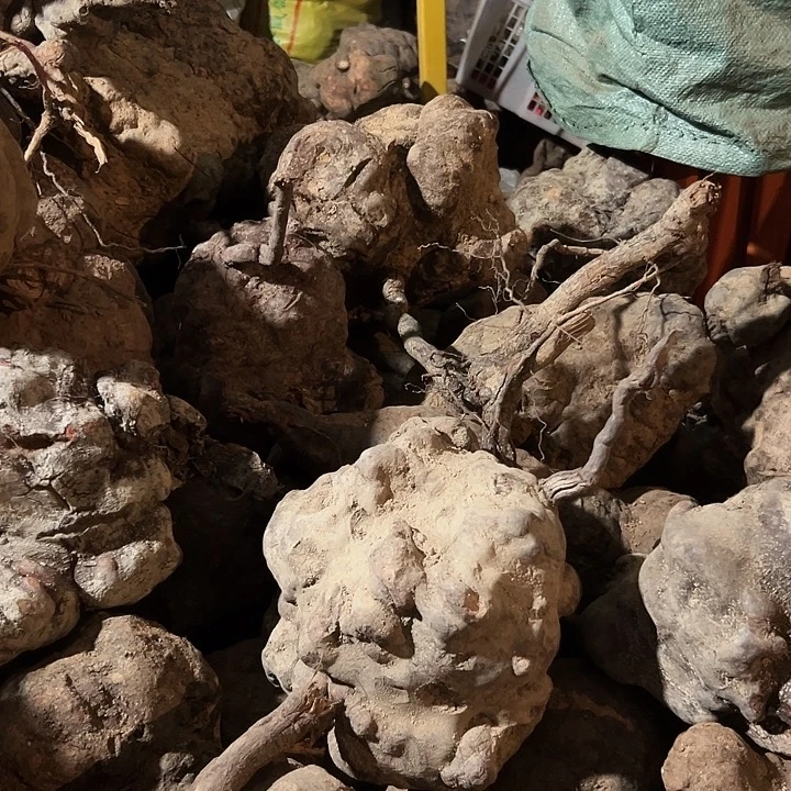 无花朵野生下山何首乌要几斤发几斤