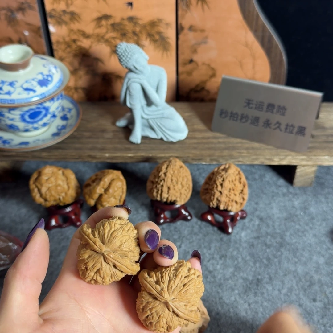 42白狮子单只有蹭伤不退换