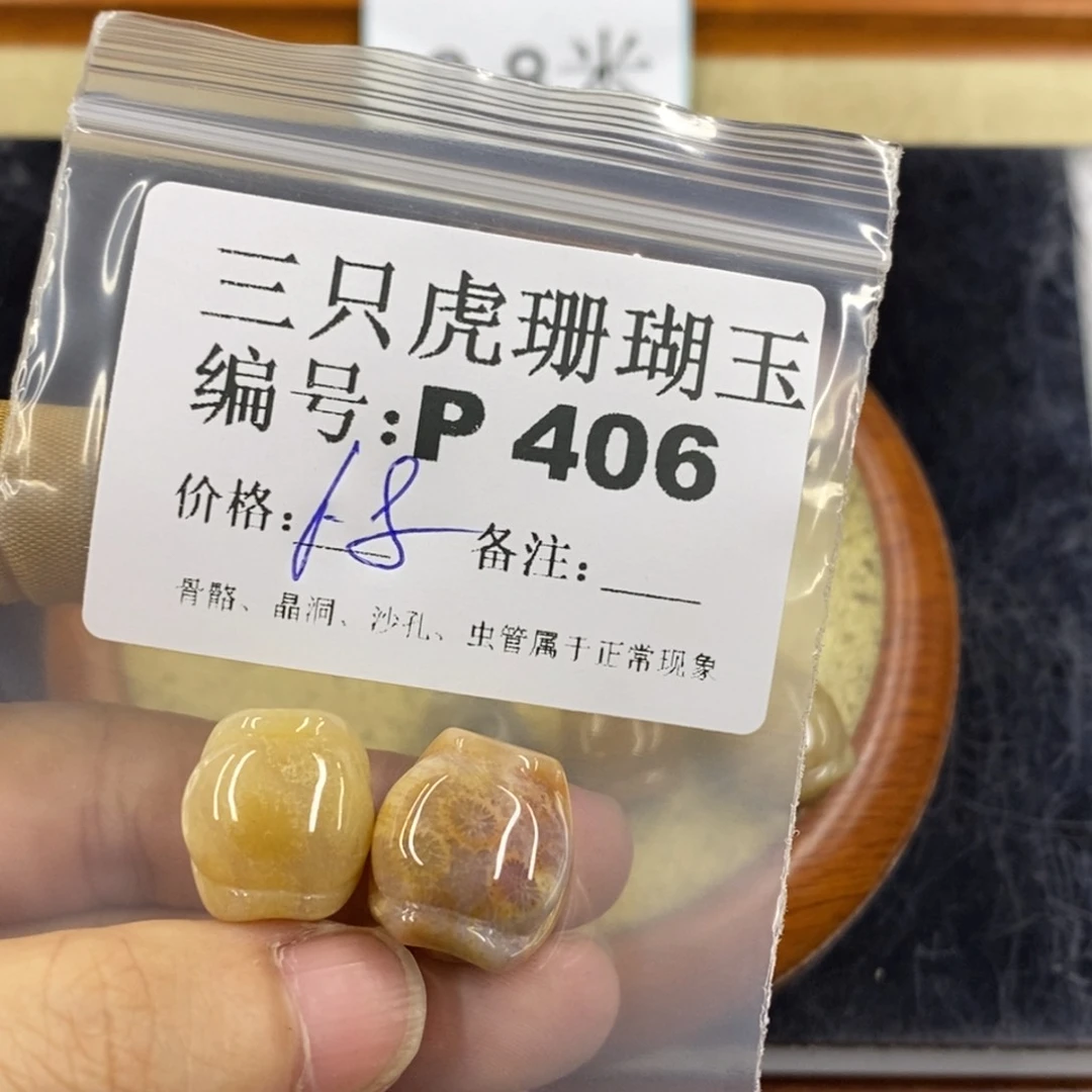 硅化珊瑚（珊瑚玉）1未镶嵌初**蛰