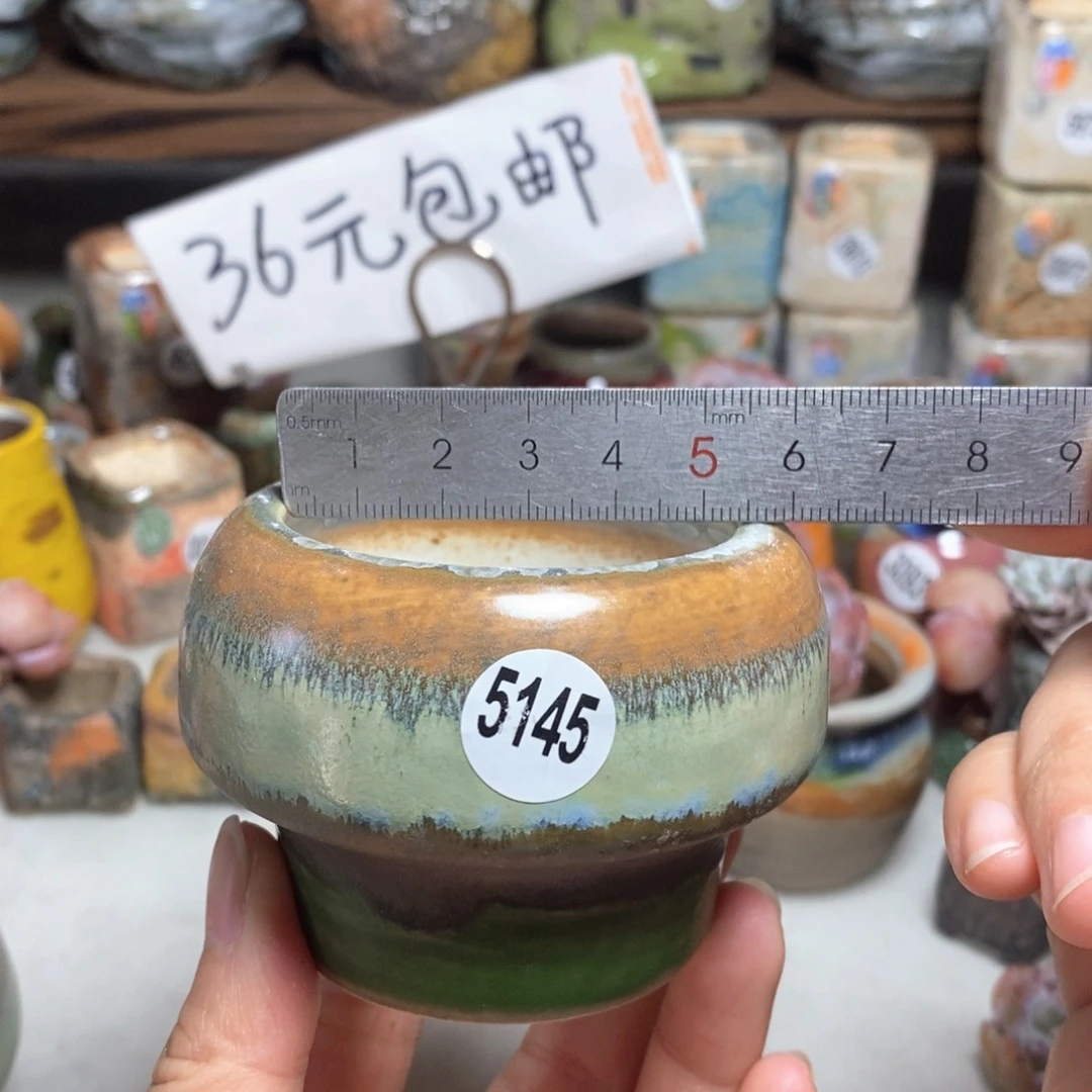 拍5送一个小礼物