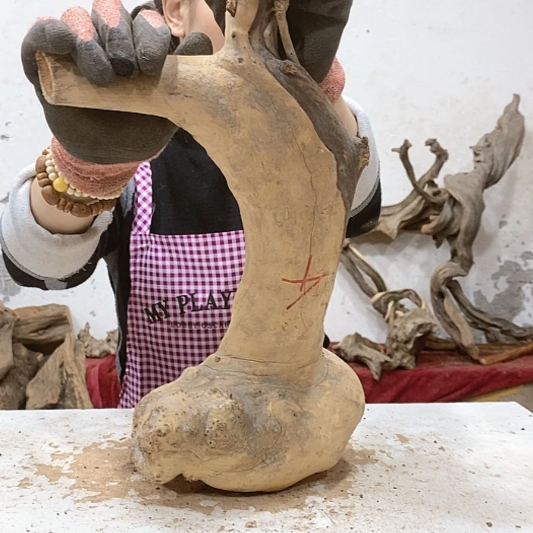 【闪购商品】柏木宝****子我们都是好孩子