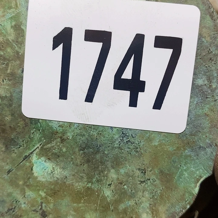 用****6闪购活动活动活动1747