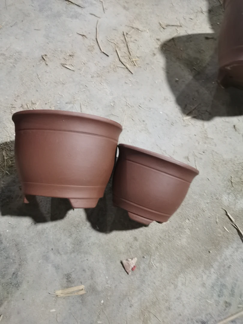 九15两12十一只花盆