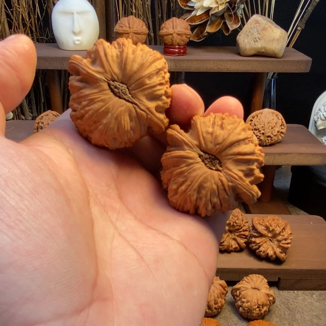 核桃手串/手链47全品卡姿兰白狮子