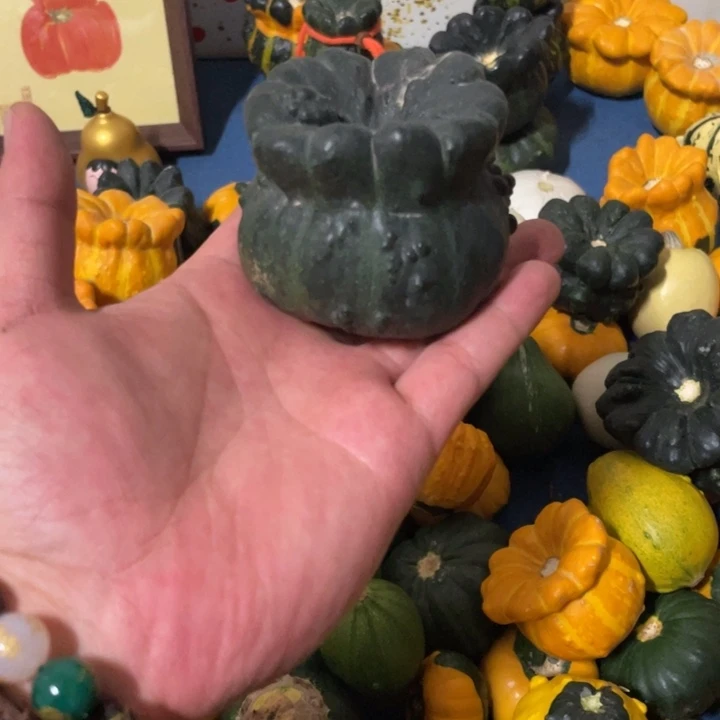 〇**〇36565555565555566