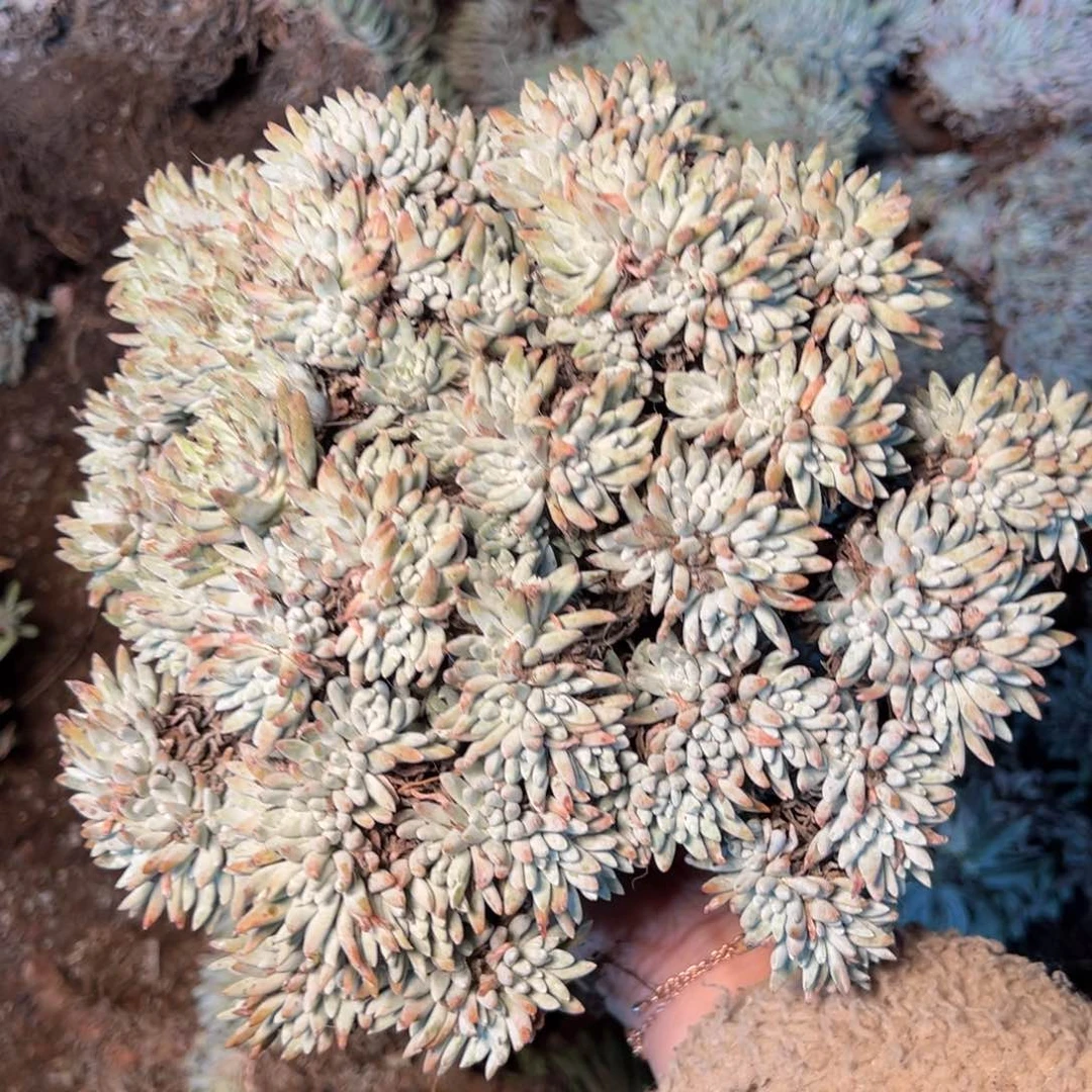 3274哈哈哈哈哈哈哈