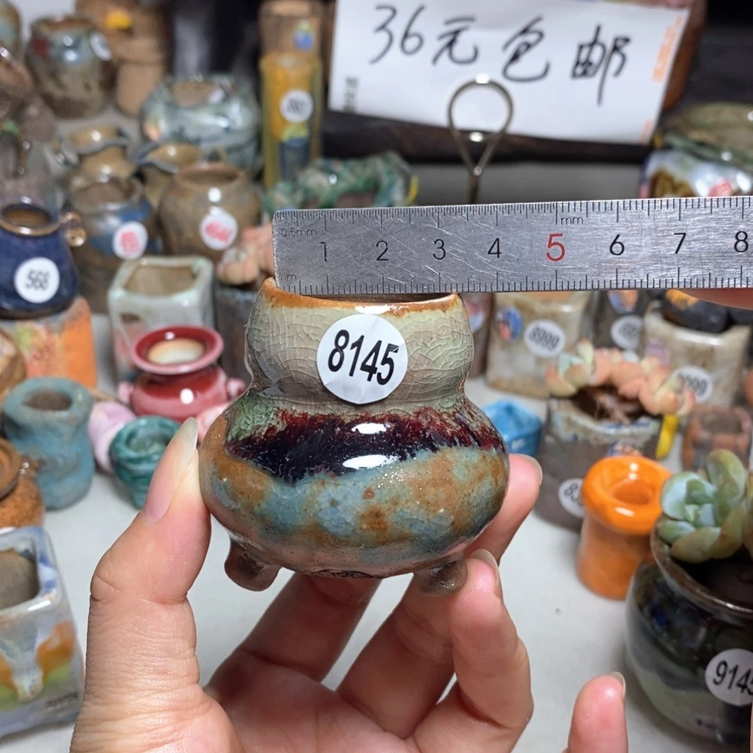 拍5送一个小礼物