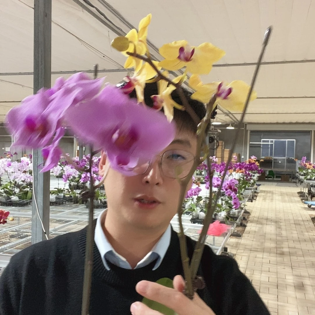 完全开放爸爸加油+明尼阿波利斯